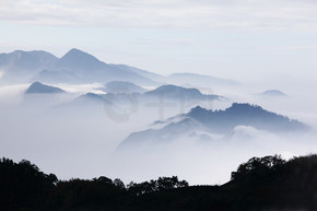 山与树和雾的单色彩色