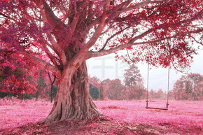 秋千上树，粉红色想象森林