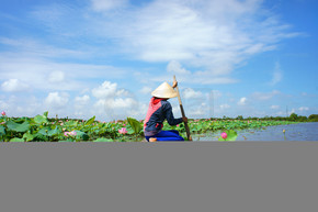 越南村庄、 排船、 莲花、 荷花池