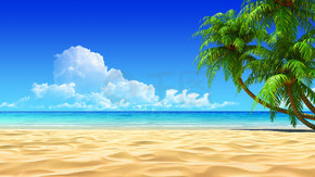 Palms on empty idyllic tropical beach