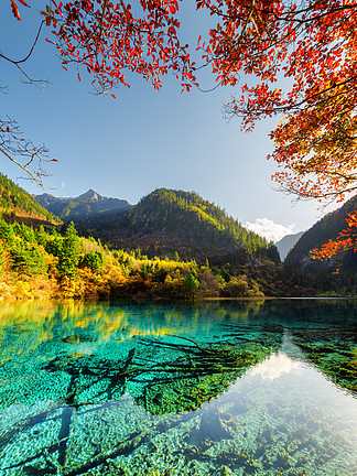 五花湖五花湖的景观在五颜六色的秋天树林中