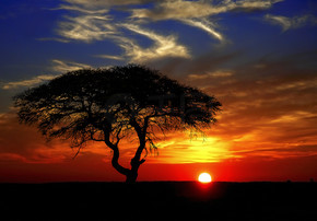 非洲日落