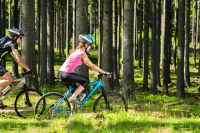 运动型自行车夫妇在树林里