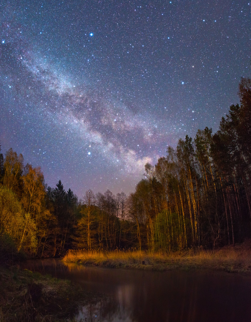 繁星闪烁的夜晚,在一条森林小河风景名胜免费下载_jpg格式_1947像素