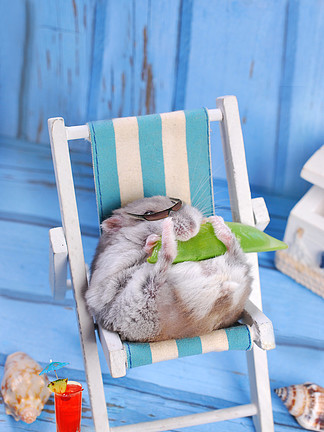 搞笑仓<i>鼠</i>在暑假放松
