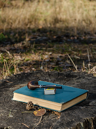 在秋天的森林或公园的树桩上的一本书、一根烟斗和一个火柴盒。 包<i>扎</i>
