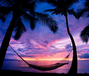 美丽的假期日落，吊床剪影与棕榈树