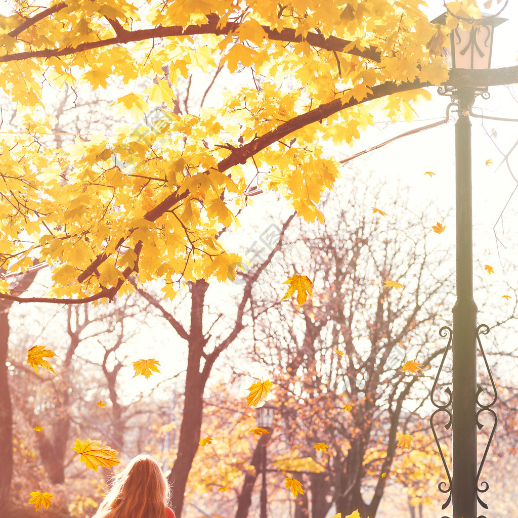 孤独的女子在城市公园的长椅上坐着美丽的秋天树叶背景