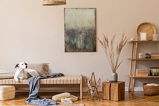 客厅的Boho构图用家具装饰，模仿绘画，藤木装饰，竹架用典雅的个人配饰。美丽的狗躺在躺椅上.家居装饰模板