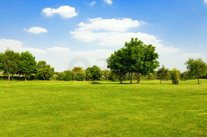 对高尔夫球场的绿草