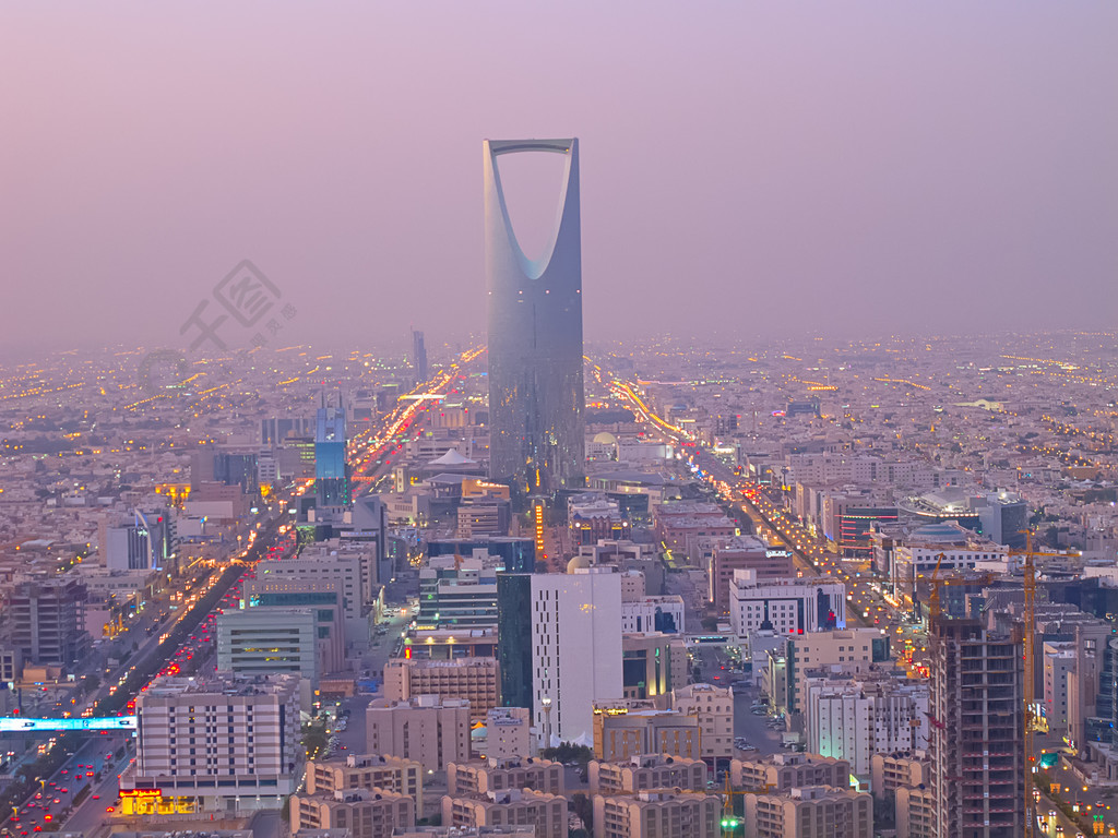 沙特阿拉伯国王塔图片