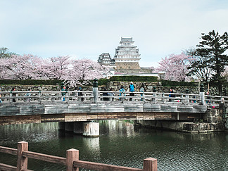 姬路, 日本-2017年4月10日: 在樱花盛开的那一天, 在姬路-Jo 城堡, 每年四月的第一周是樱花观赏季节的时间.
