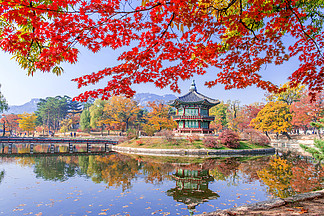 Gyeongbukgung 和枫树的树在秋天在<i>韩</i>国.