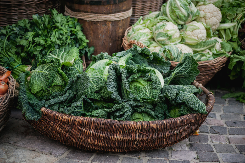 Basket with various cabbages Savoy , romanesco, cauliflower, white head , broccoli, brussels sprouts