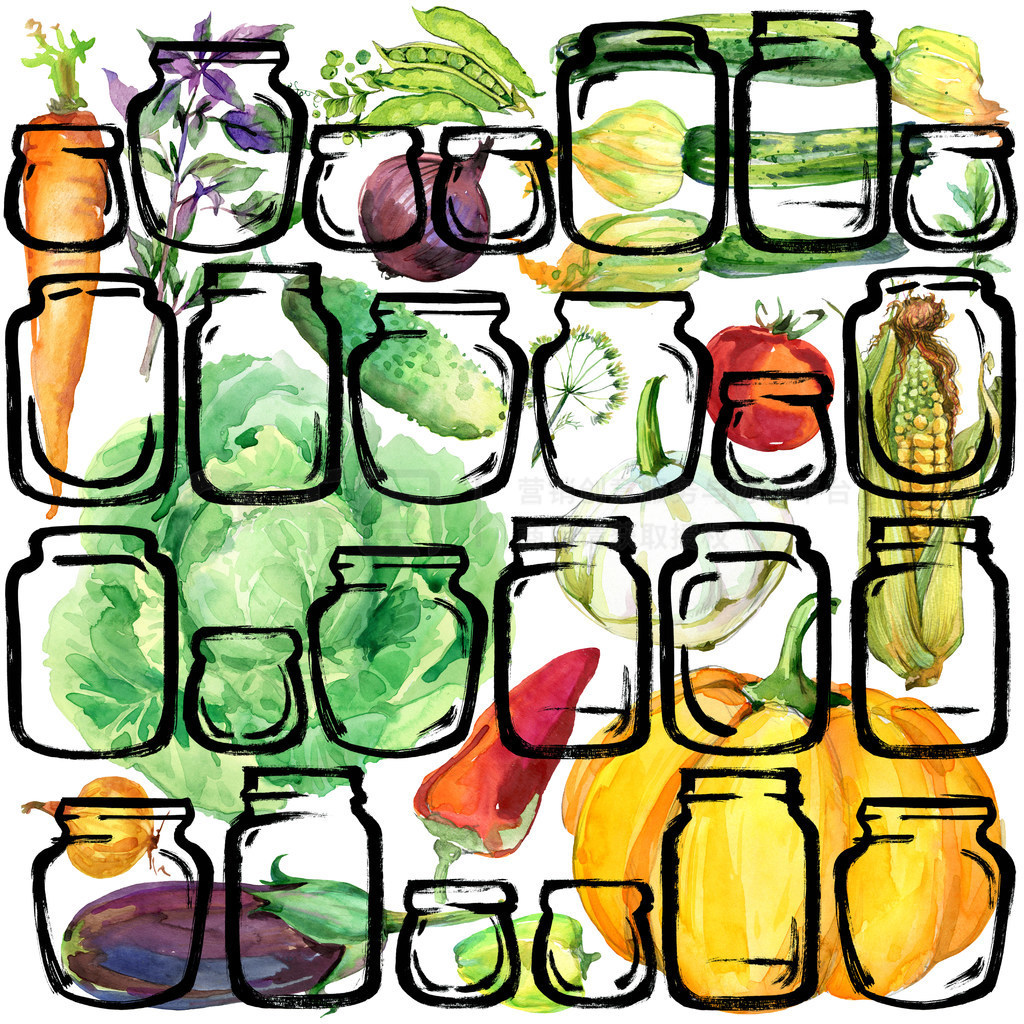 Vegetables. watercolor organic garden vegetables illustration. watercolor Canned vegetables and herb