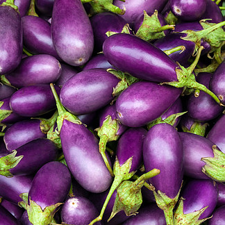 茄子紫色水果/蔬菜免费下载