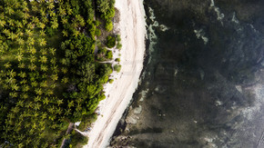 顶视图空中无人机照片的令人惊叹的海滩与珊瑚礁底部和热带棕榈树丛林.