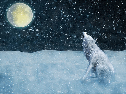 3d渲染一只威严的白狼坐下来,在魔法雪地包围的月亮上嚎叫