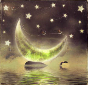 逆戟鲸在繁星满天的夜晚背景与月球上的插图