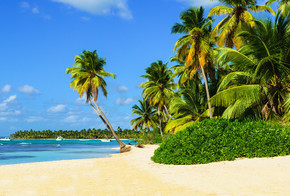 令人惊叹的热带海滩，棕榈树