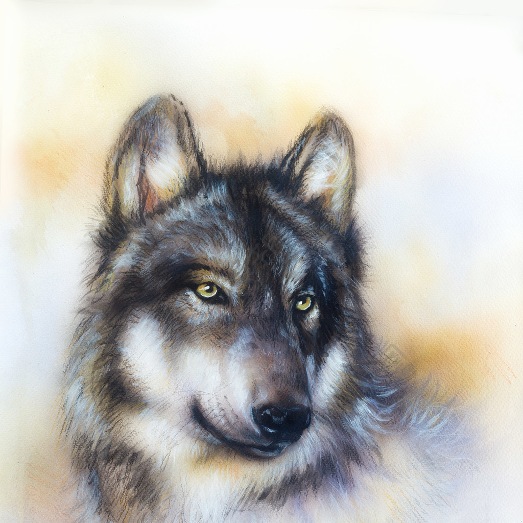 狼在画布上的绘画,对纸张, 多色图的背景色