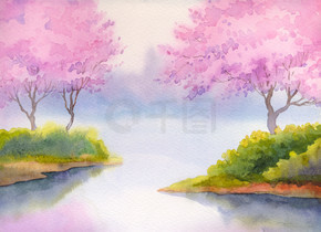 春天风景水彩画。开花树木在河