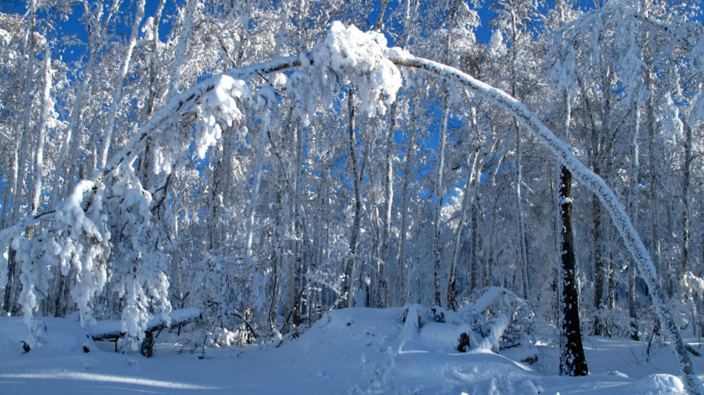 冰雪興安嶺