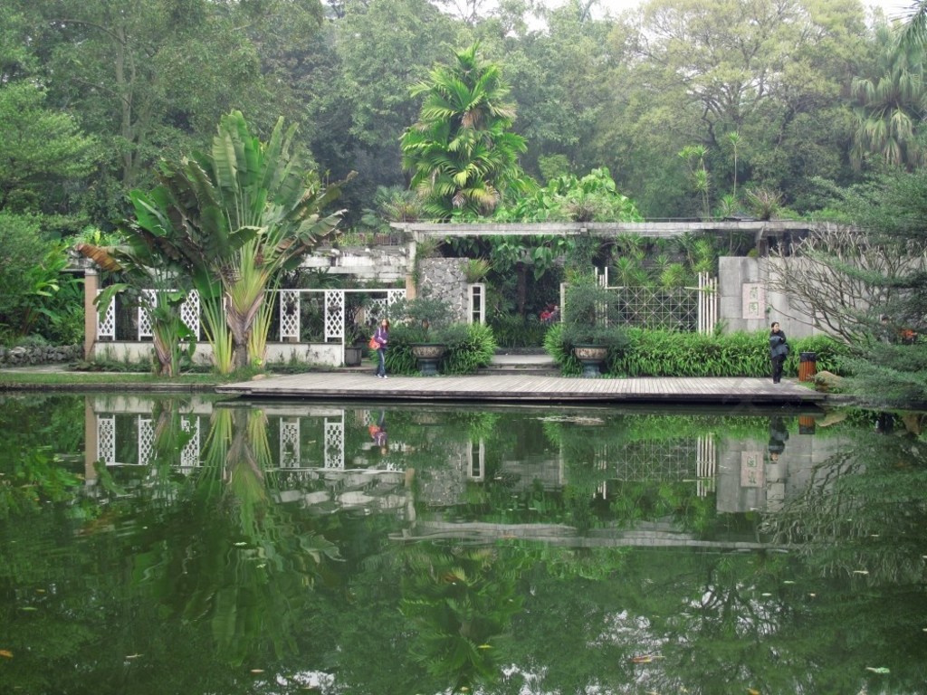 廣州華南植物園1年前發佈