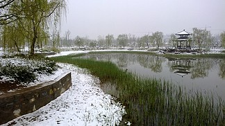 四月雪后太公湖