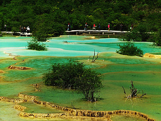 黄龙盆景池