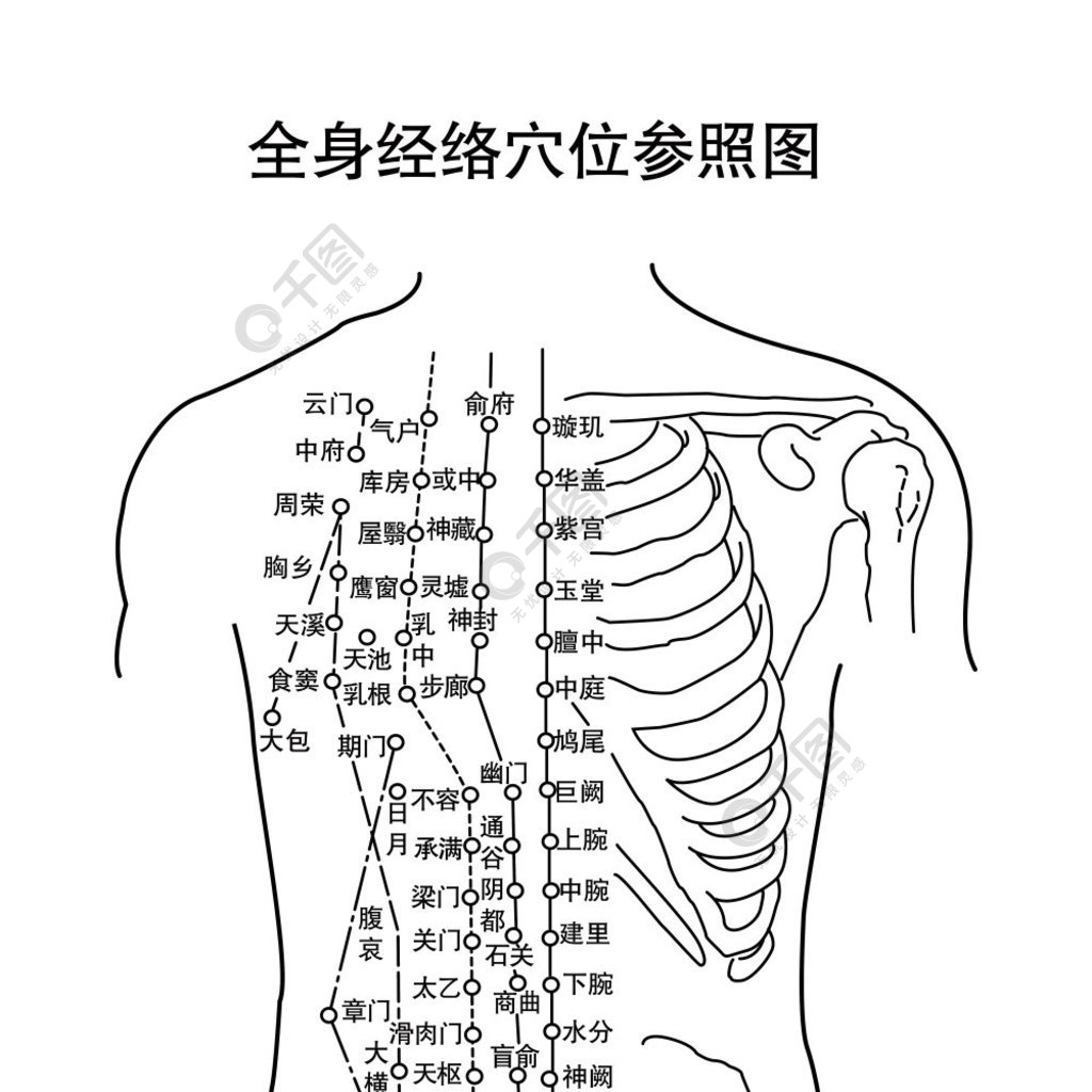 經絡穴位參照圖