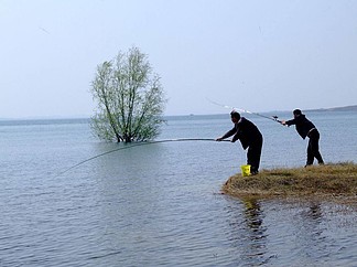 南阳鸭河口水库有蛟图片