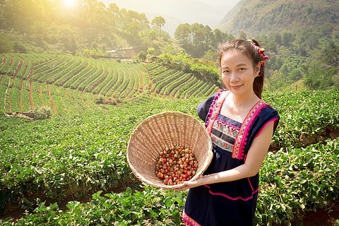 身上种草莓的图片图片